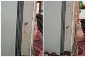 Tak direndam air panas, cara atasi karet pintu kulkas longgar agar rapat lagi tanpa perlu dibongkar