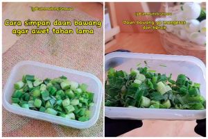 Nggak perlu direndam air, ibu-ibu ini punya cara simpan daun bawang agar tak berair dan tahan lama