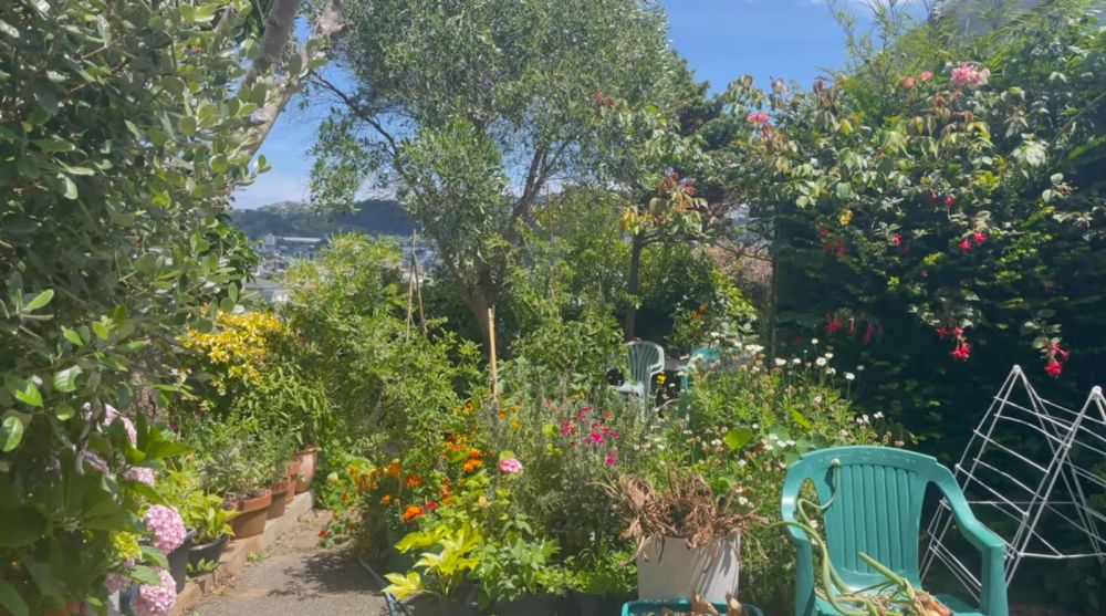 9 Potret kebun Rara Sekar kakak Isyana Sarasvati di dataran tinggi Selandia Baru, punya view perkotaan