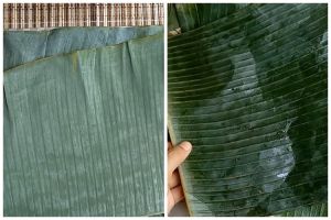 Bukan direndam air, ini cara menyimpan daun pisang agar tak kering dan tetap hijau hingga 1 bulan