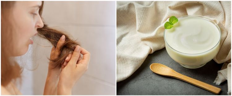 Tanpa potong di salon, ini 10 cara atasi rambut bercabang agar kembali sehat pakai bahan alami