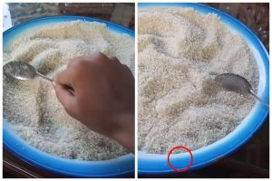 15 Cara mengusir semut ini praktis, andalkan bahan rumahan sederhana