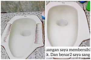 Bukan pakai sabun cuci piring, ini trik bersihkan kerak hitam di kloset pakai tambahan 2 bahan dapur