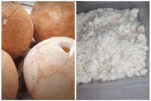 Jangan langsung dimasukkan kulkas, ini trik menyimpan kelapa parut agar awet sampai 1 bulan