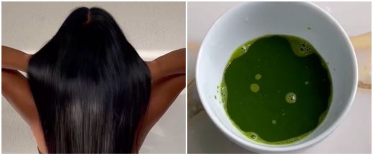 Bukan pakai tonic rosemary, trik tumbuhkan rambut rontok akibat ketombe ini cuma dengan 1 jenis daun