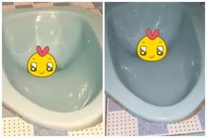 Modal Rp8.000, ini cara ampuh atasi WC mampet tanpa perlu dibongkar cuma pakai 2 bahan dapur