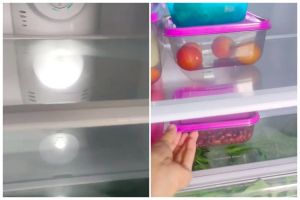 Tanpa ditaburi kopi, ini cara bersihkan dan hilangkan bau tak sedap di kulkas pakai 2 bahan dapur