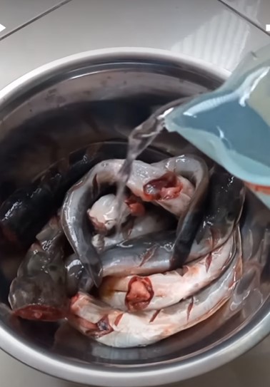 Tanpa kapur sirih, ini cara jitu hilangkan lendir ikan lele cuma pakai 2 bahan dapur