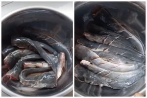Tanpa kapur sirih, ini cara jitu hilangkan lendir ikan lele cuma pakai 2 bahan dapur