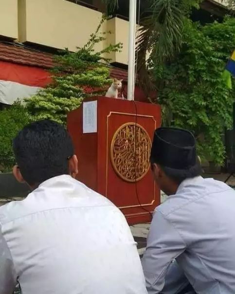 11 Potret kocak momen absurd saat Lebaran ini bikin nyengir nggak habis pikir