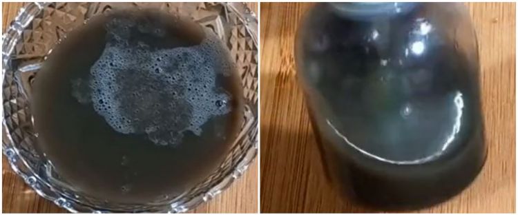 Tak perlu beli tonic penumbuh, cara lebatkan rambut rapuh dan tipis ini cuma pakai 2 jenis biji-bijian