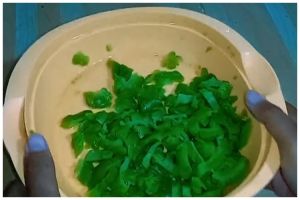 Bukan direbus bareng asam jawa, ini cara hilangkan pahit sayur pare cukup pakai 1 bumbu dapur