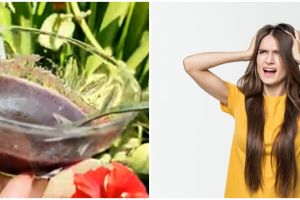 Tanpa gunakan santan, ini trik mengatasi rontok pada rambut panjang pakai 1 jenis bunga