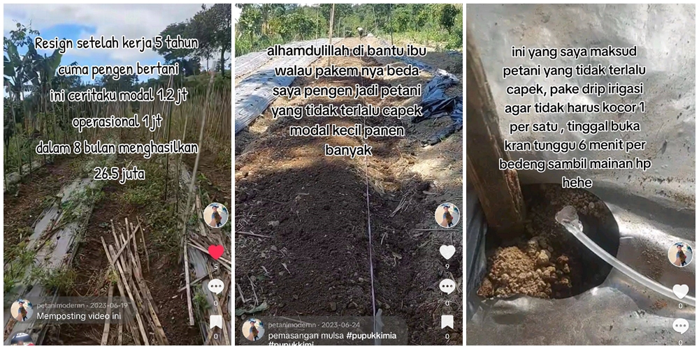 Kisah pria resign pilih bertani usai 5 tahun kerja, modal Rp 1,2 juta raup Rp 26 juta dalam 8 bulan