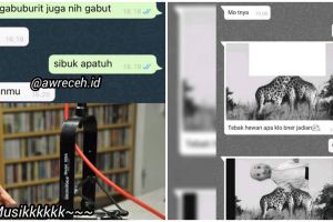 10 Chat lucu ditolak blak-blakkan ini bikin malu, definisi hasil mengkhianati usaha