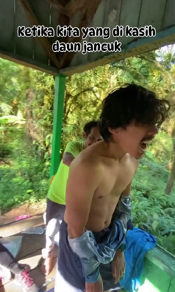 Respon pendaki gunung ketika dioleskan daun ini bikin merem melek, khasiatnya jangan diragukan