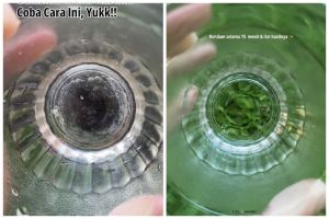 Tak perlu disikat, ini cara mencuci gelas kaca kusam dan berkerak agar kinclong tanpa bahan pemutih