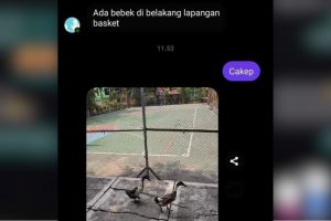 11 Chat lucu lagi serius tapi dianggap pantun ini endingnya ngeselin abis, bikin geleng kepala