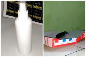 Modal Rp 6.000, ini cara ampuh hilangkan bau pesing kotoran tikus pakai tambahan 1 bahan dapur