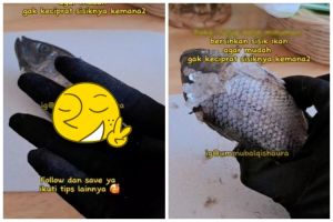 Tak pakai pisau, trik membersihkan ikan agar ampas sisiknya tak berantakan andalkan 1 alat sederhana