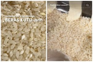 Tanpa diselipi daun salam, ini trik mengusir kutu pada beras cukup andalkan 1 bahan dapur