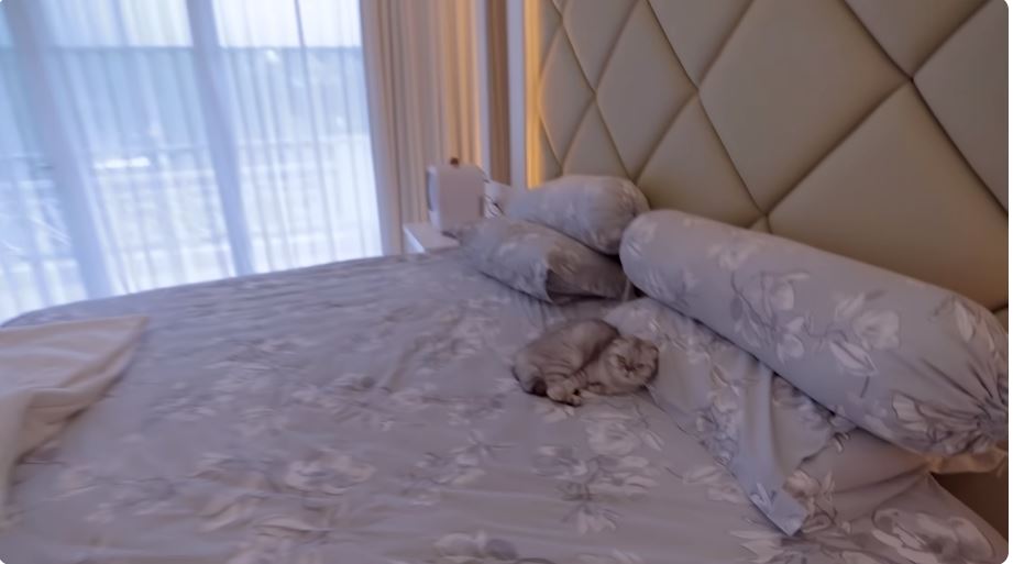 Usia 22 punya rumah Rp 27 M, 11 potret kamar Jessica Jane ini canggih buka gorden cuma tekan tombol