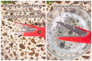 Trik mudah atasi gunting tumpul dan karatan jadi tajam lagi, cukup tambah 2 bahan dapur