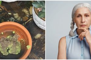 Tak dicampur bubuk kopi, YouTuber ini gunakan 1 bahan minuman untuk hilangkan uban