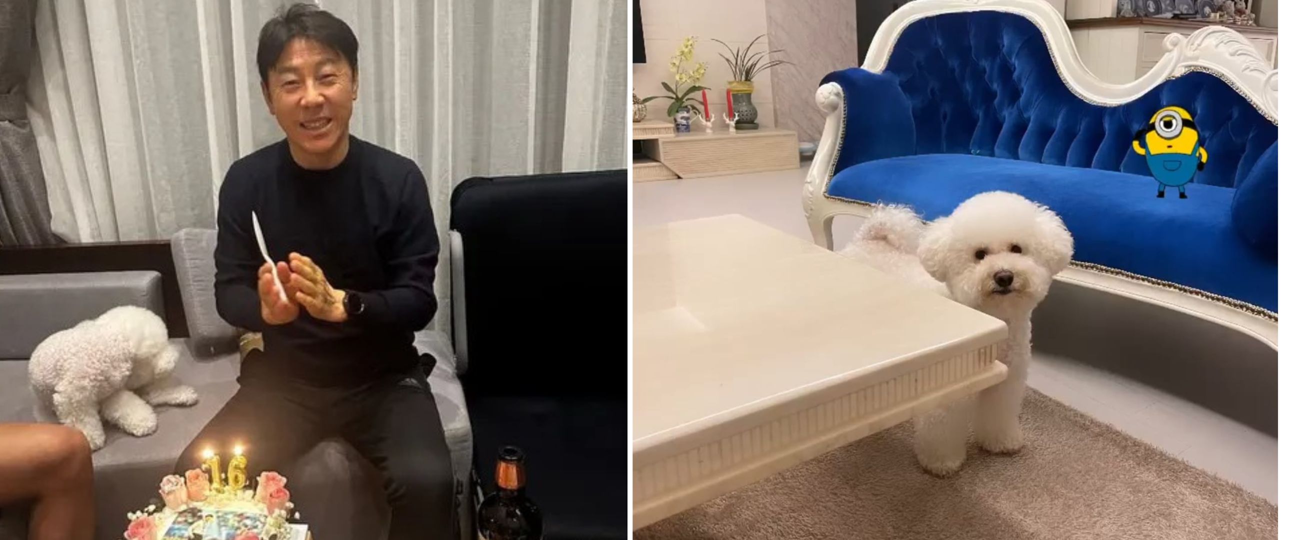 11 Penampakan rumah pelatih Timnas Shin Tae-yong, lukisan bergambar dirinya bikin gagal fokus