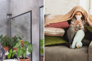 Polusi udara dalam ruangan ancam kesehatan, ini dampak dan cara mengatasinya