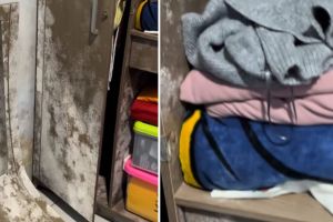 Ditinggal selama 3 minggu, momen wanita kaget lihat kamarnya penuh jamur ini bikin geli