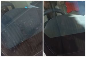 Tak diberi cuka, owner tempat cuci mobil ini punya cara usir noda jamur kaca mobil pakai 1 bahan dapur