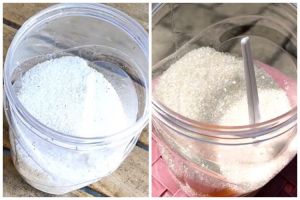Tanpa perlu dijemur, begini cara mengusir semut dari toples gula dengan cepat pakai 1 bumbu dapur