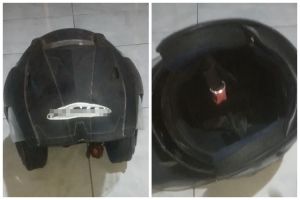 Bukan disemprot larutan kopi, ini trik ampuh hilangkan bau apek di helm pakai 1 jenis minuman