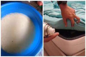 Tanpa perlu dicuci, ini trik ampuh menghilangkan kutu kasur cuma tambah 2 bahan dapur
