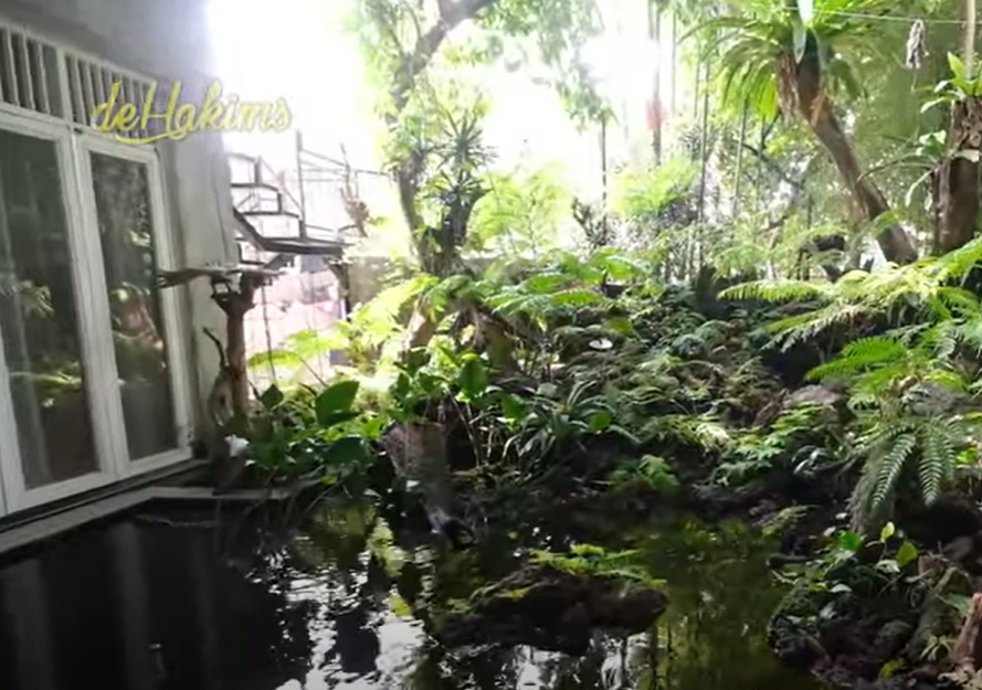 Hunian bak di hutan ada pohon usia 15 juta tahun, 11 potret kamar mandi Haji Asari serasa zaman batu