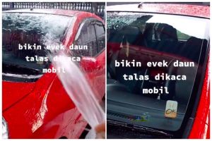 Bukan digosok sabun, ini cara hilangkan jamur di kaca mobil agar kinclong pakai 1 jenis sayuran