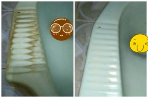 Tanpa diampelas, trik bapak-bapak bersihkan kerak di kloset ini modal tambahan 3 bahan dapur
