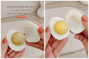 Tanpa bahan tambahan, begini cara rebus telur agar tak bau kentut dan matangnya pas