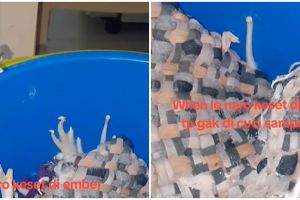 Akibat kelamaan merendam hingga lupa nyuci, penampakan keset pria ini bikin yang lihat auto merinding