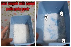 Bukan pakai daun salam, ini cara mengusir semut dari toples gula cuma andalkan 1 bahan dapur