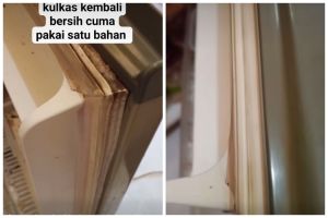 Bukan digosok sabun dan pasta gigi, ini trik basmi jamur di karet pintu kulkas andalkan 1 bahan dapur