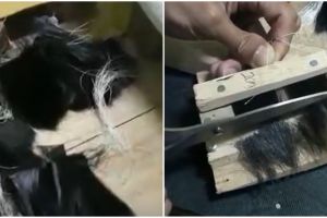 9 Proses pembuatan bulu mata palsu serba manual ini hasil akhirnya rapi bak pakai mesin