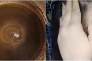 Tanpa dicampur bawang bombay, ini cara cegah uban muncul di usia muda pakai 1 jenis biji-bijian