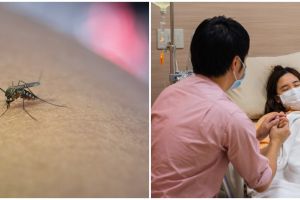 6 Superfoods untuk melawan demam berdarah (DBD), pencegahan alami yang efektif