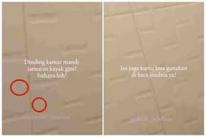 Bukan digosok sitrun, ini cara hilangkan jamur di dinding kamar mandi pakai tambahan 2 bahan dapur