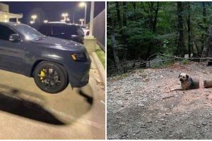 Amati dengan teliti, 11 potret kocak posisi benda menipu mata ini bikin lihat dua kali