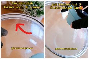 Bukan digosok sabun cuci piring, ini trik hilangkan jamur di tutup panci kaca pakai 2 bahan sederhana