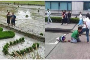 11 Potret kocak orang nembak gebetan pakai cara unik ini nggak wajar, bikin susah nolak