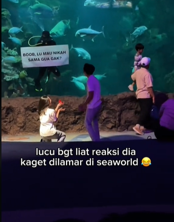 Berani beda, momen wanita lamar pacarnya di SeaWorld ini tuai pro-kontra